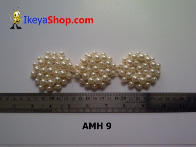 AMH 9  large2